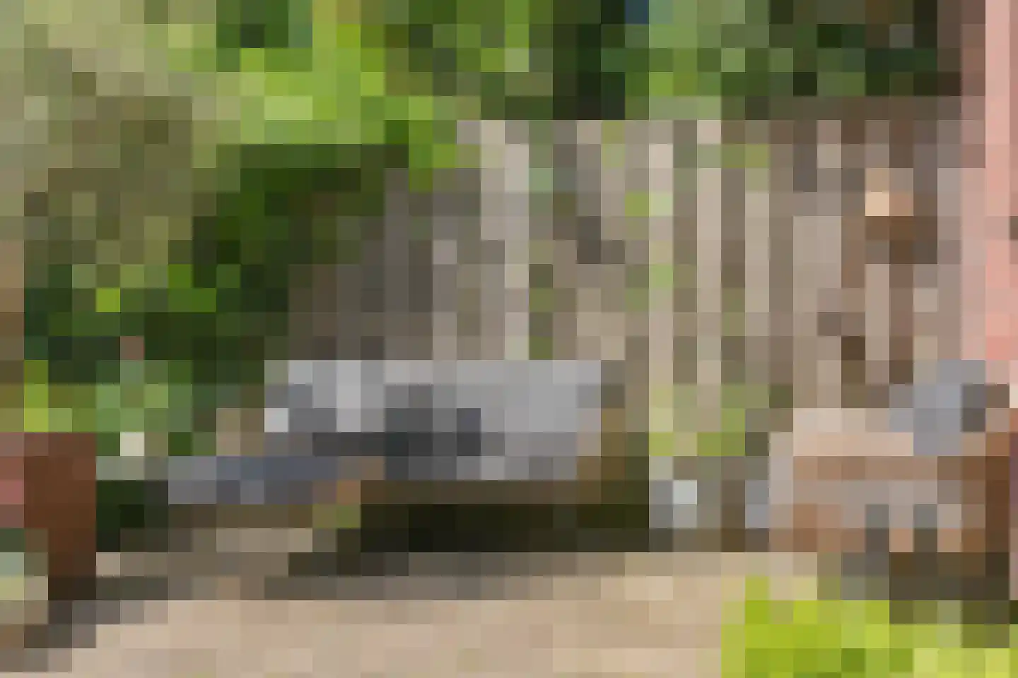 Zinzendorflaan 11 Zeist thumbnail 36