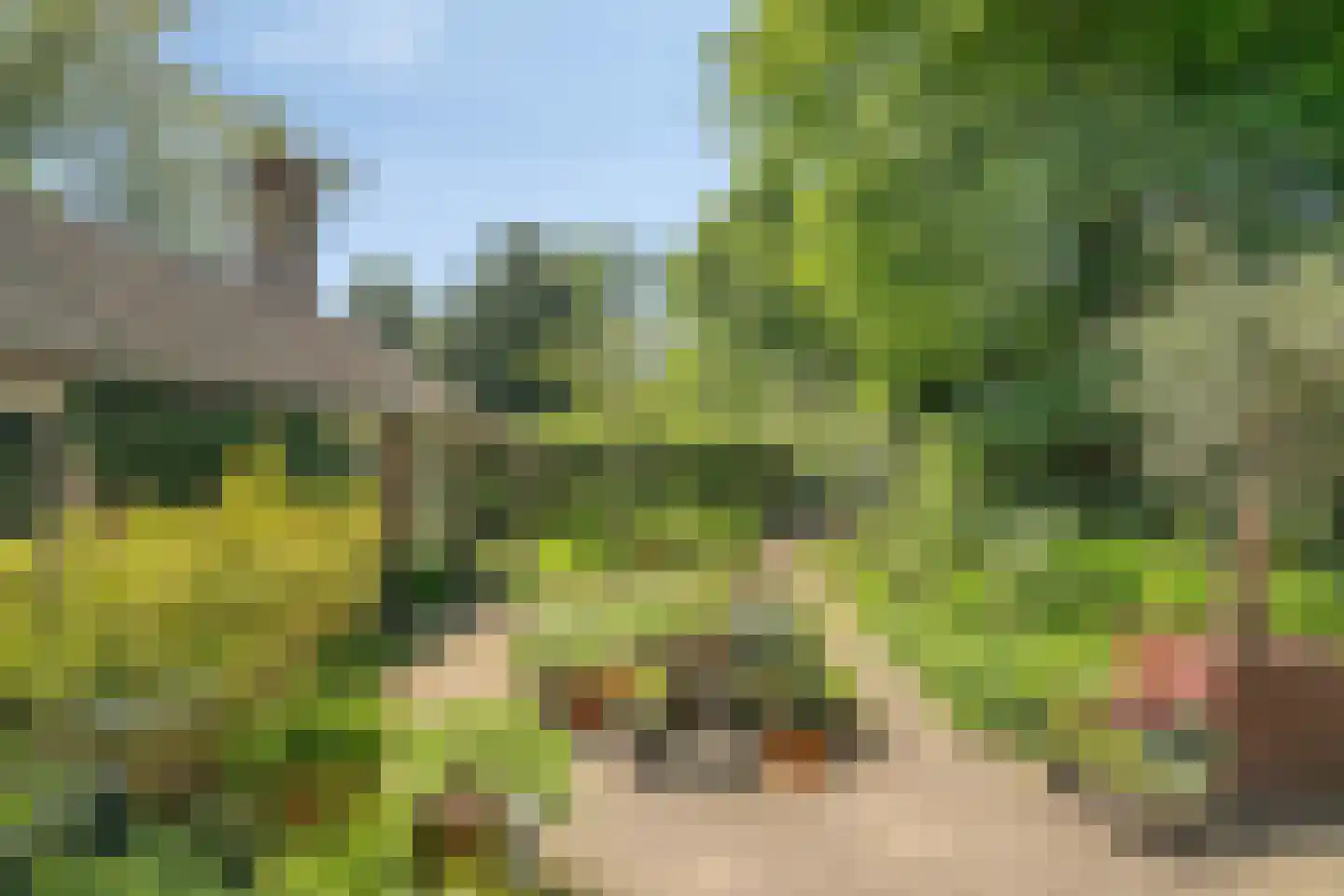 Zinzendorflaan 11 Zeist thumbnail 37