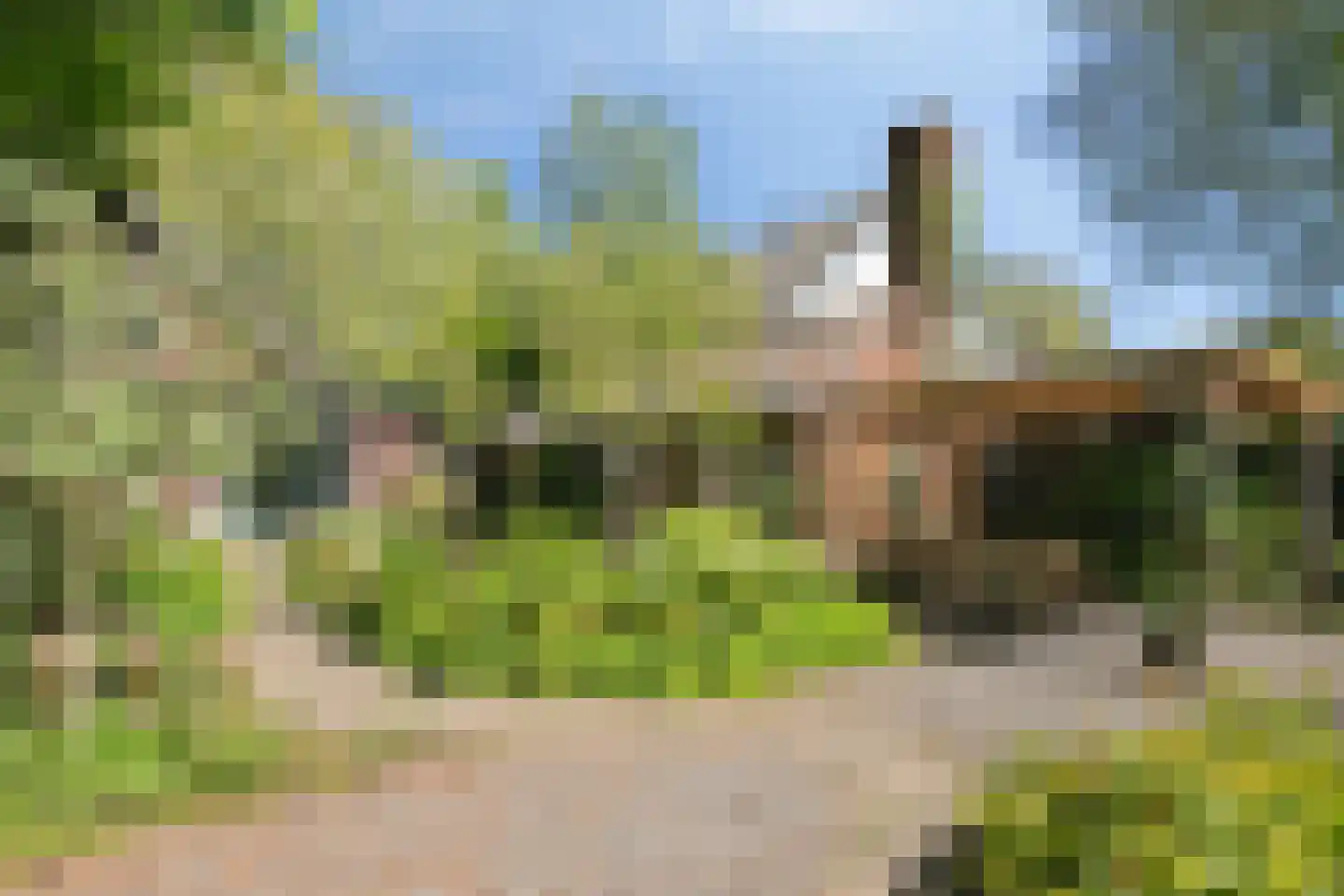 Zinzendorflaan 11 Zeist thumbnail 38
