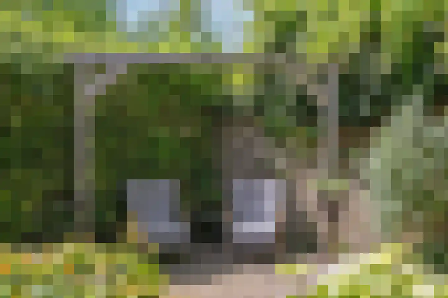Zinzendorflaan 11 Zeist thumbnail 40