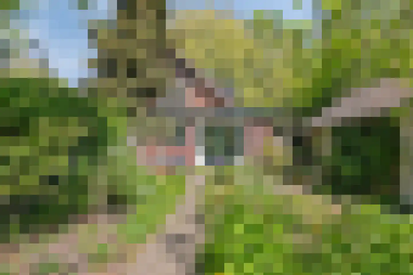 Zinzendorflaan 11 Zeist thumbnail 45