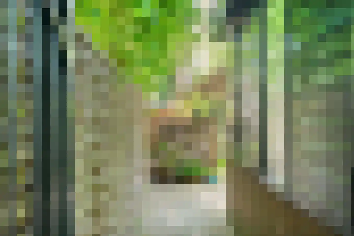 Zinzendorflaan 11 Zeist thumbnail 47