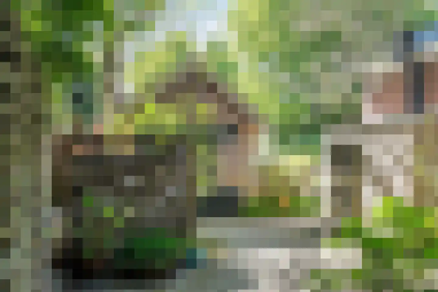Zinzendorflaan 11 Zeist thumbnail 48