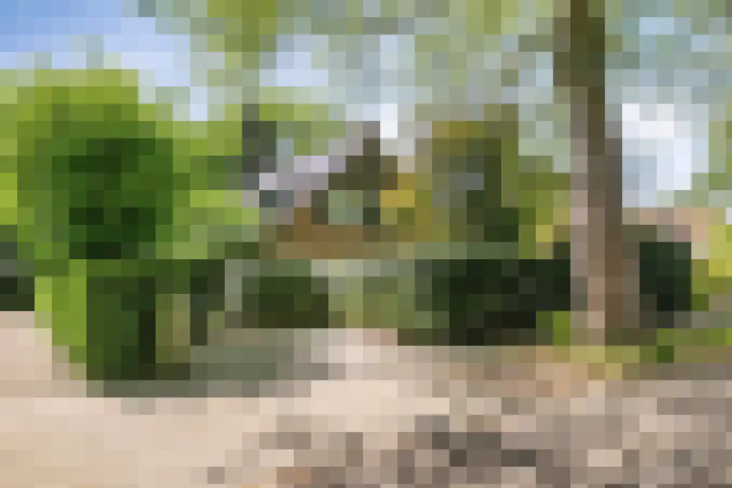 Zinzendorflaan 11 Zeist thumbnail 49
