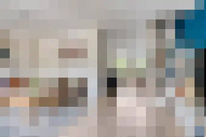 Zirkoon 13 Heerhugowaard thumbnail 12
