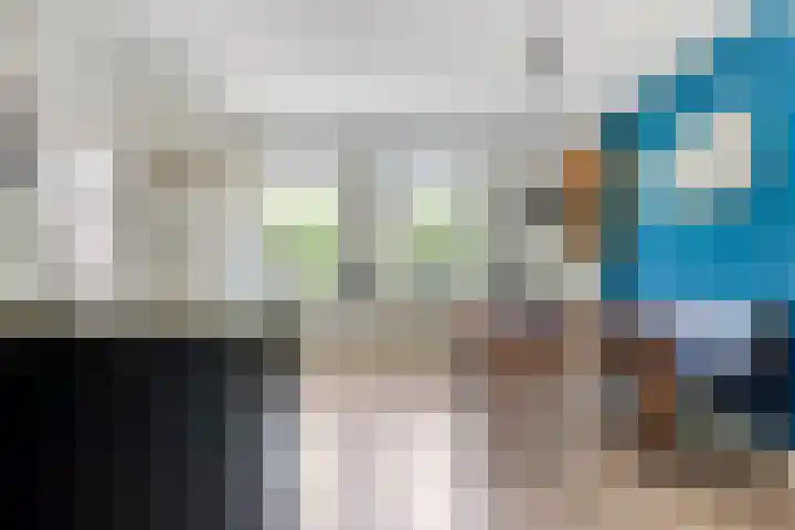 Zirkoon 13 Heerhugowaard thumbnail 14