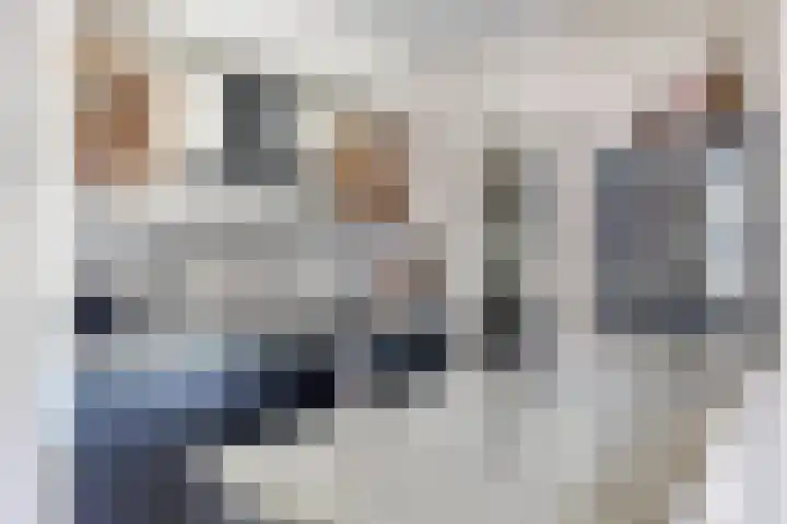 Zirkoon 13 Heerhugowaard thumbnail 19