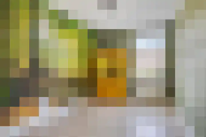 Zirkoon 13 Heerhugowaard thumbnail 31