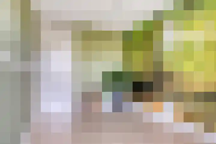 Zirkoon 13 Heerhugowaard thumbnail 32