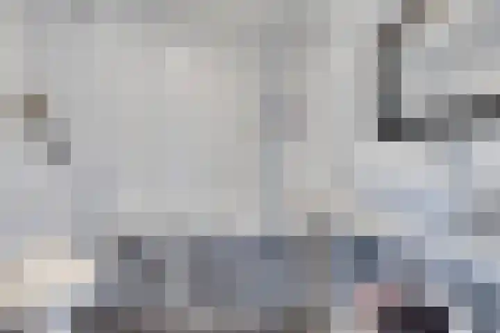 Zirkoon 13 Heerhugowaard thumbnail 34