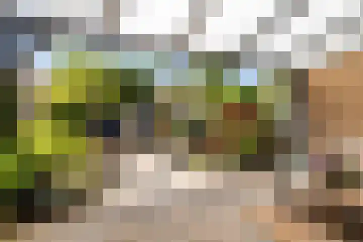 Zirkoon 13 Heerhugowaard thumbnail 44