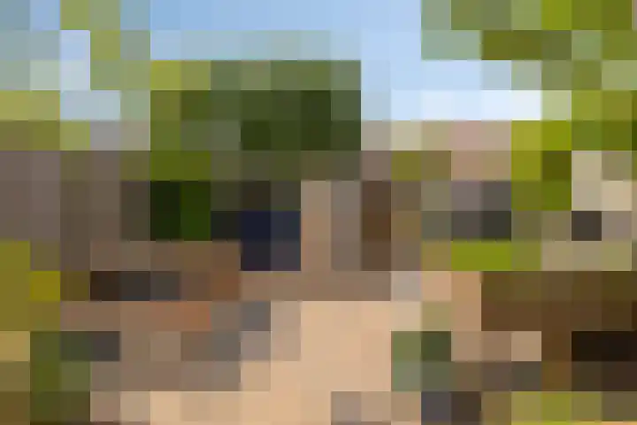 Zirkoon 13 Heerhugowaard thumbnail 47