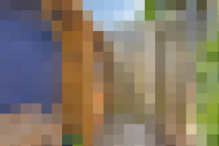 Zirkoon 13 Heerhugowaard thumbnail 48