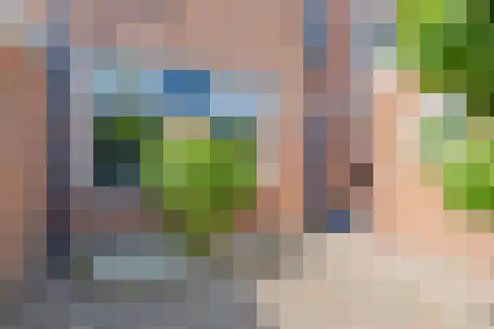 Zirkoon 13 Heerhugowaard thumbnail 5