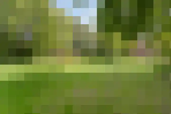 Zirkoon 13 Heerhugowaard thumbnail 52