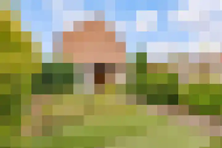 Zirkoon 18 's-Hertogenbosch thumbnail 12