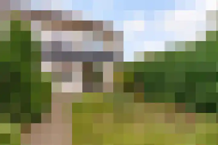 Zirkoon 18 's-Hertogenbosch thumbnail 13