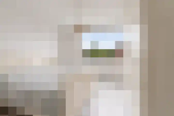 Zirkoon 18 's-Hertogenbosch thumbnail 17