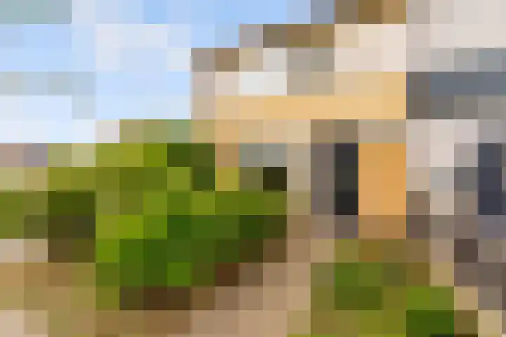 Zirkoon 18 's-Hertogenbosch thumbnail 25