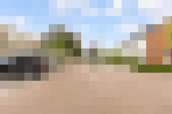 Zirkoon 18 's-Hertogenbosch thumbnail 26