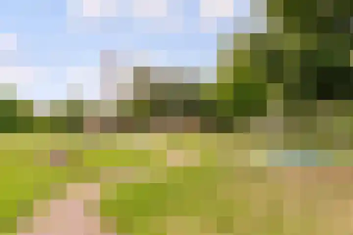 Zirkoon 18 's-Hertogenbosch thumbnail 27