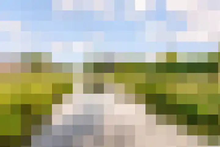 Zirkoon 18 's-Hertogenbosch thumbnail 28