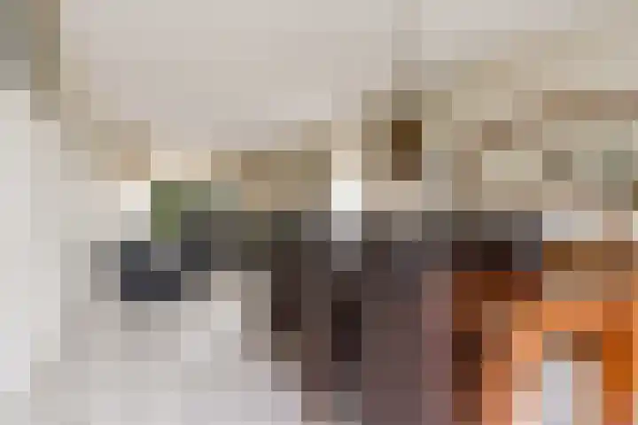 Zirkoon 18 's-Hertogenbosch thumbnail 6