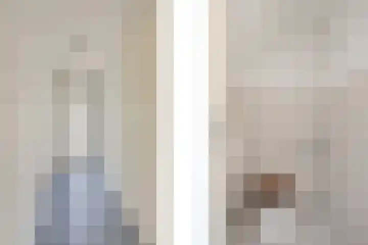 Zirkoon 22 Duiven thumbnail 10