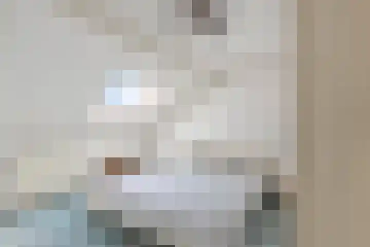 Zirkoon 22 Duiven thumbnail 14