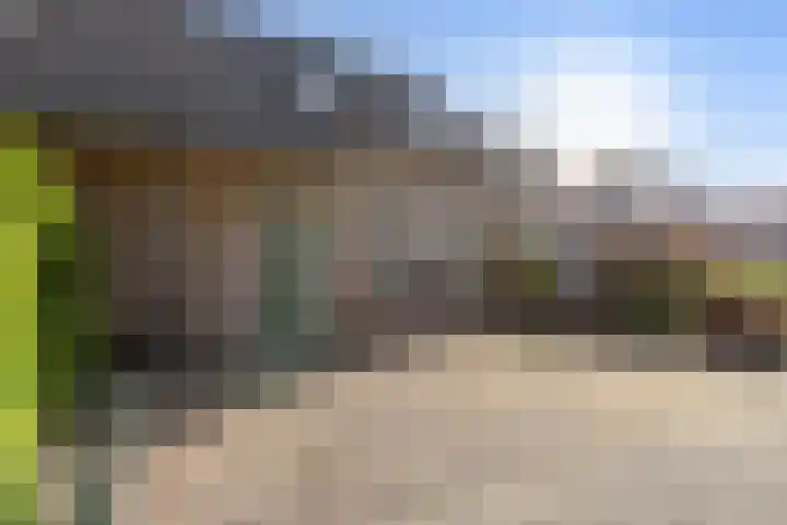 Zirkoon 22 Duiven thumbnail 28