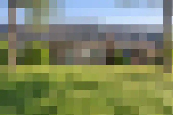 Zirkoon 22 Duiven thumbnail 29