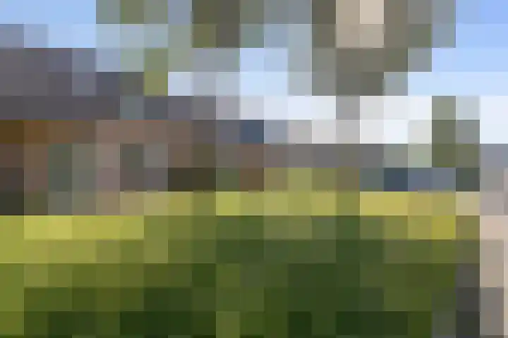 Zirkoon 22 Duiven thumbnail 31