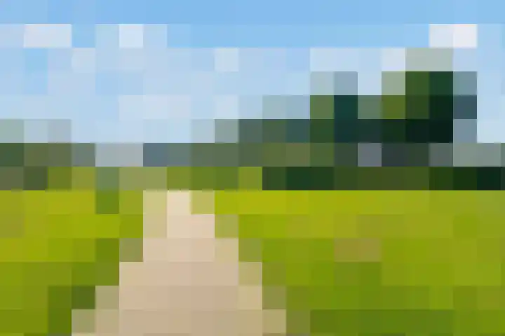 Zirkoon 22 Duiven thumbnail 34
