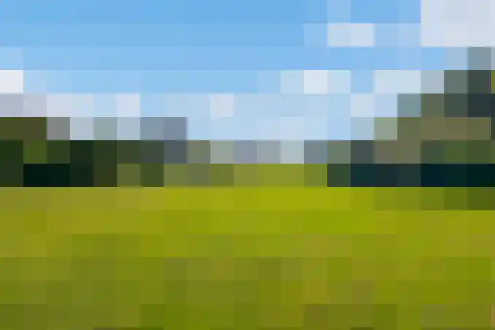 Zirkoon 22 Duiven thumbnail 35