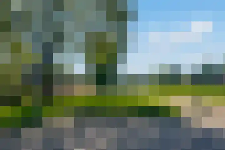 Zirkoon 22 Duiven thumbnail 36