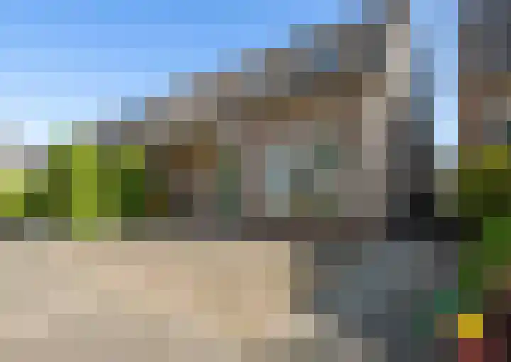 Zirkoon 22 Duiven thumbnail 38