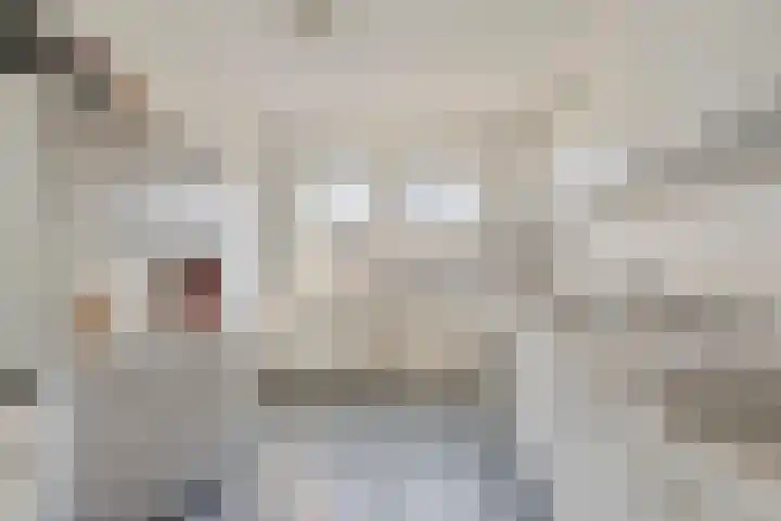 Zirkoon 22 Duiven thumbnail 8