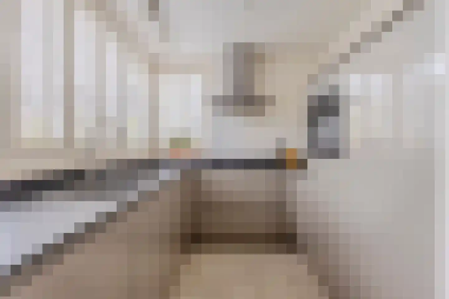 Zirkoon 24 Mijdrecht thumbnail 16