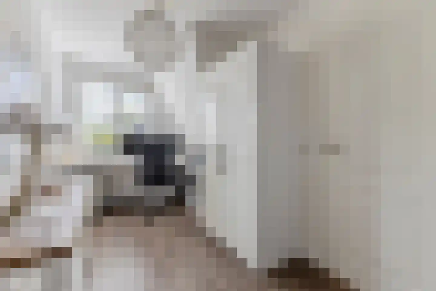 Zirkoon 24 Mijdrecht thumbnail 36