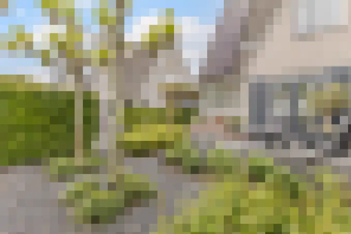 Zirkoon 24 Mijdrecht thumbnail 56