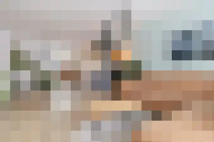 Zirkoon 3 Venlo thumbnail 13