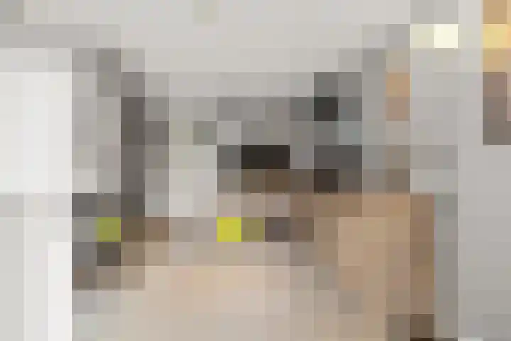 Zirkoon 3 Venlo thumbnail 25