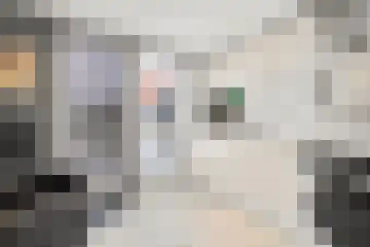 Zirkoon 3 Venlo thumbnail 26