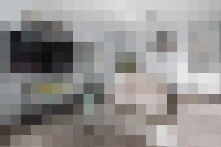 Zirkoondrift 10 Nieuwegein thumbnail 13