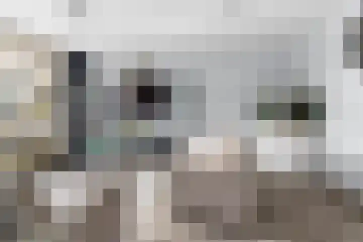 Zirkoondrift 10 Nieuwegein thumbnail 8