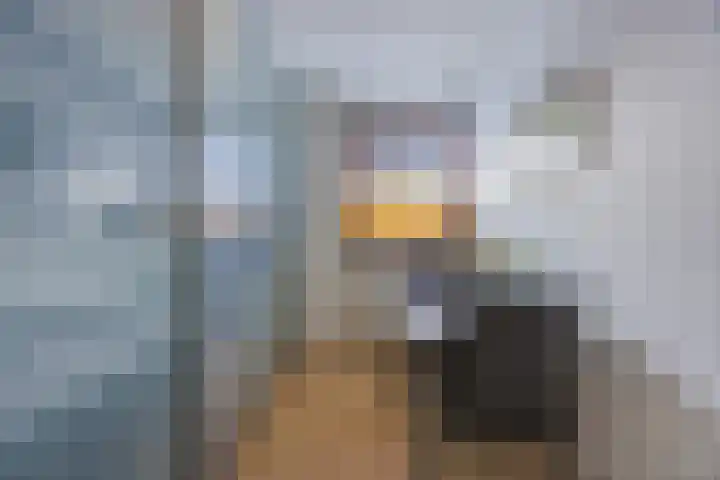 Ziteind 54 Best thumbnail 23