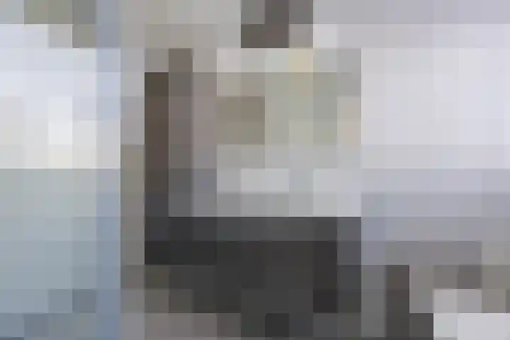 Ziteind 54 Best thumbnail 27