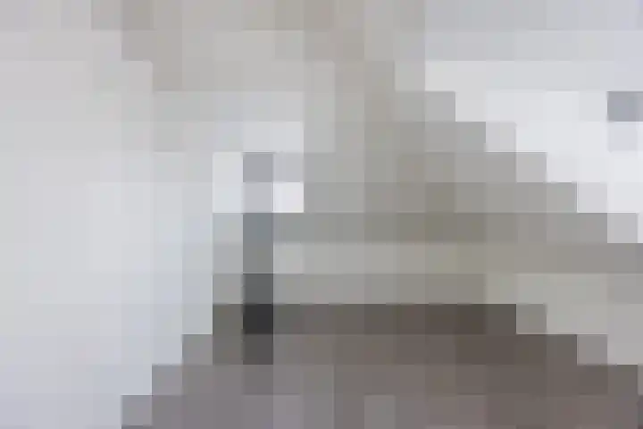 Ziteind 54 Best thumbnail 30