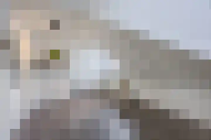 Ziteind 54 Best thumbnail 32