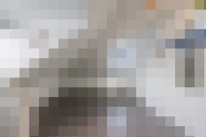 Ziteind 54 Best thumbnail 34